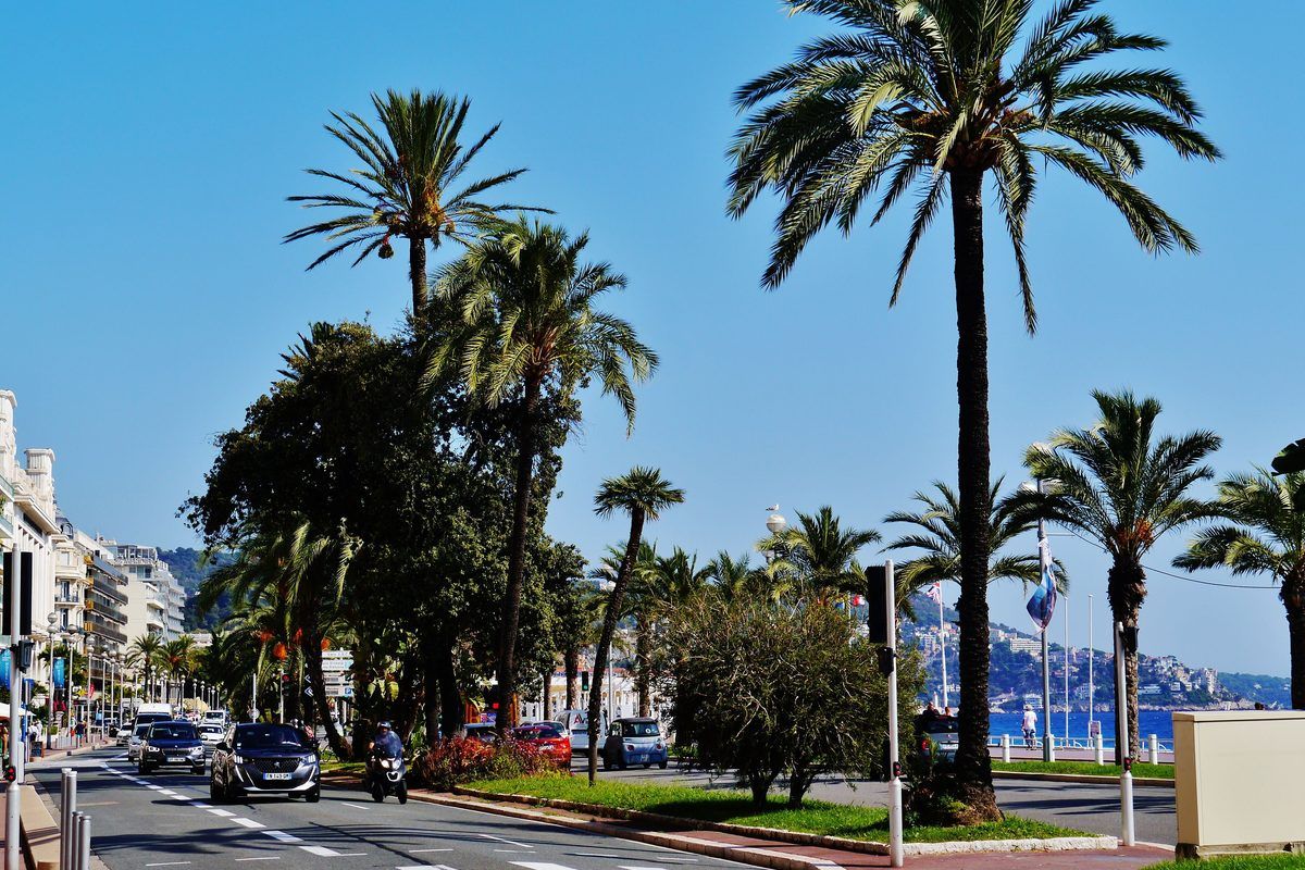 The Promenade des Anglais in Nice, lined with palm trees above the Baie des Anges